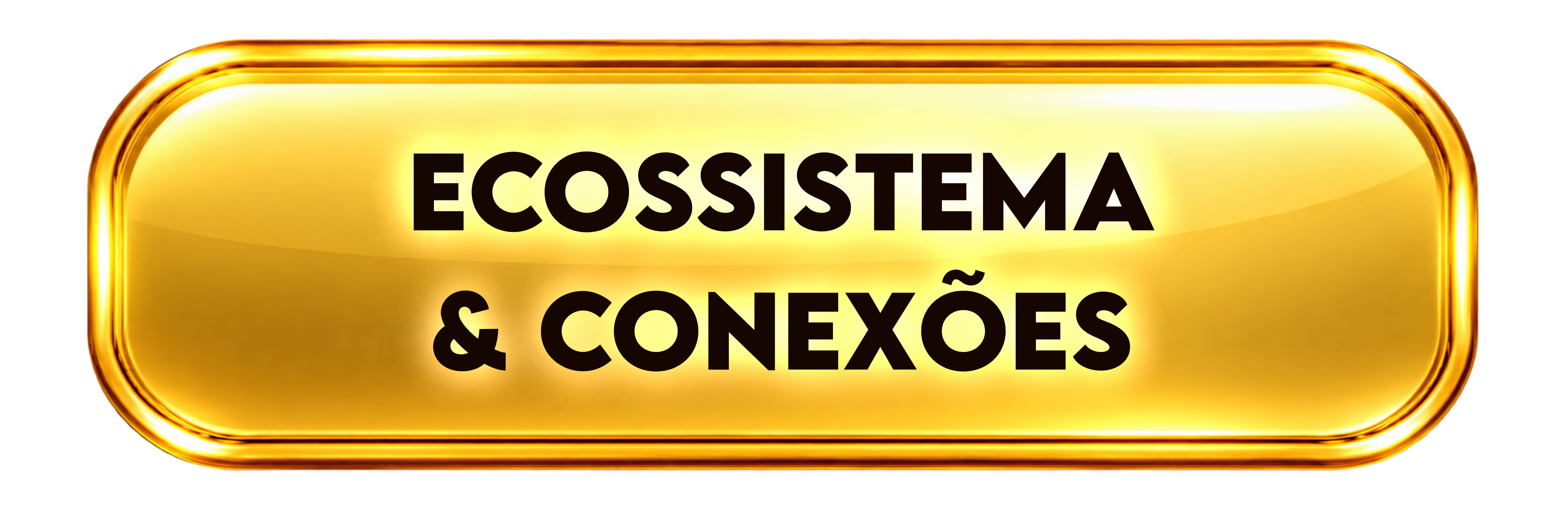 Ecossistema e Conexões
